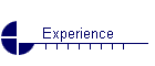 Experience