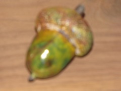 Acorn 01.01 (Carol)